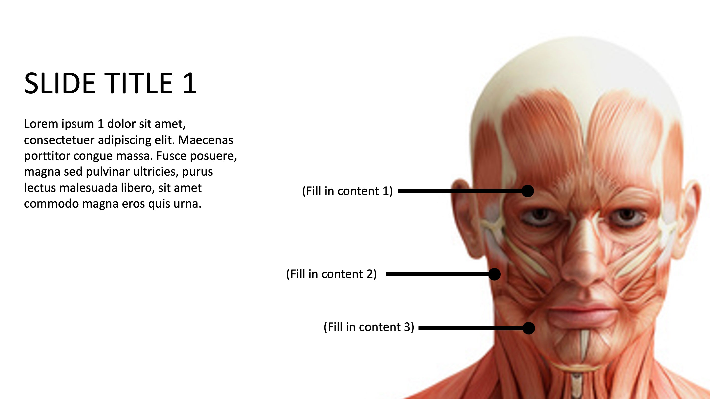 Content Slide #053