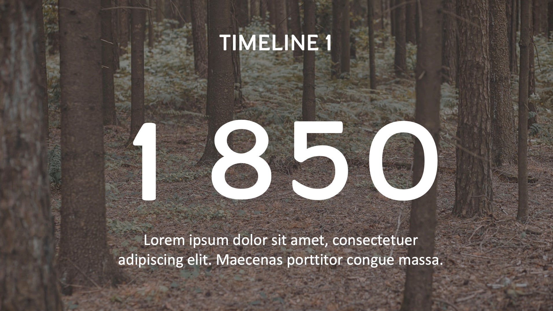 Timeline Slide #005